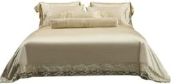 LEIGE Lace Lace Cotton Silk Cotton Four-Piece Set Villa Model Room Bedding (Color : D, Size : 200 * 230cm) -Amazon Shop 317PZUx1HL. AC 1