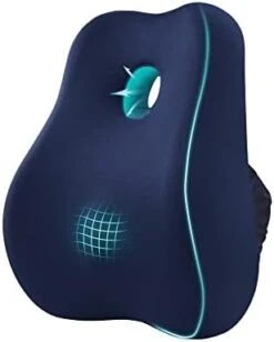 Max&Love Lumbar Support Pillow Cover Ergonomic Design Orthopedic Backrest For Back Pain Relief Memory Foam Back Support For Office Chair Computer Chair Car Seat Recliner And Couch (Dark Gray) -Amazon Shop 31Bvgn3AUyL. AC