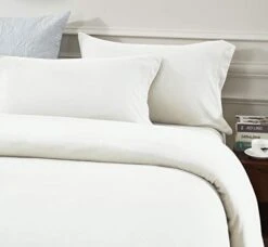 Warm And Cozy Microfleece Sheet Set, Ivory, Twin -Amazon Shop 31XHf2sknoL