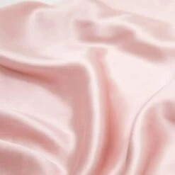 Lementine Silk Organic Silk Pillowcase (Black) - 20in. X 30 In. - 100% GOTS Certified Organic 6A Silk (World's Envelope Enclosure 14 Lementine Silk Organic Silk Pillowcase (Black) - 20in. X 30 In. - 100% GOTS Certified Organic 6A Silk (World's Envelope Enclosure -Amazon Shop 31mBfJKLagL. AC