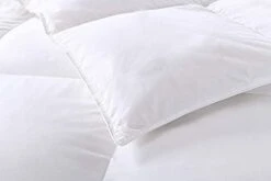 Luxurious Comforter All Seasons Solid Color Duvet Insert Brushed Poly-Cotton Shell Down-Proof Cozy Soft With Tabs, Queen, Year Round White -Amazon Shop 31ukzG3PiTL