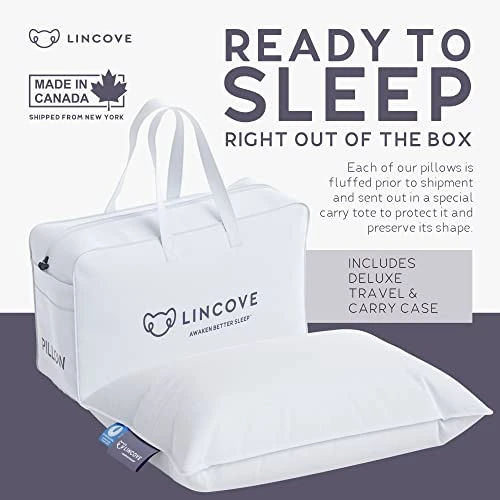 Lincove Microgel Travel Pillow - Global Recycled Standard Certified - Plush And Cozy Luxury Pillow To Support Head, Neck, While Sleeping On Airplanes, Cars, Hotels & Home - 12"x16" 4 Lincove Microgel Travel Pillow - Global Recycled Standard Certified - Plush And Cozy Luxury Pillow To Support Head, Neck, While Sleeping On Airplanes, Cars, Hotels & Home - 12"x16" - Image 4