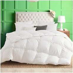 Luxurious Comforter All Seasons Solid Color Duvet Insert Brushed Poly-Cotton Shell Down-Proof Cozy Soft With Tabs, Queen, Year Round White -Amazon Shop 414MKM7NDLL. AC 1