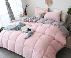 KASENTEX All Season Down Alternative Quilted Comforter Set Reversible Ultra Soft Duvet Insert Machine Washable (Twin Set, Pink Potpourri/Quartz Silver) -Amazon Shop 415D0BzgXbS