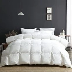 Lightweight Goose Feathers Down Comforter King, Cooling Feathers Down Duvet For Warm Weather -100% Organic Cotton, 750 Fill Power Down Quilt Thin Summer Duvet Insert (Ivory White, 106x90) -Amazon Shop 41EXHRMLxvS. AC 4