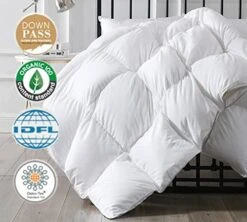 Luxurious Comforter All Seasons Solid Color Duvet Insert Brushed Poly-Cotton Shell Down-Proof Cozy Soft With Tabs, Queen, Year Round White -Amazon Shop 41GkS3gYetL