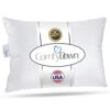 Goose Down Travel Pillow - Filled With 800 Fill Power European Goose Down, Egyptian 300 Thread Count 100% Cotton Cover For Plane Car & Home - Made In USA - 12"x16"