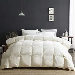 Lightweight Goose Feathers Down Comforter King, Cooling Feathers Down Duvet For Warm Weather -100% Organic Cotton, 750 Fill Power Down Quilt Thin Summer Duvet Insert (Ivory White, 106x90) -Amazon Shop 41Lv0nPXkvS. AC