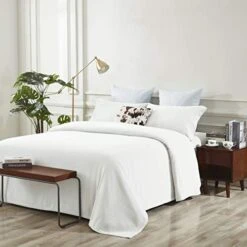 Warm And Cozy Microfleece Sheet Set, Ivory, Twin -Amazon Shop 41bHTiHUi5L