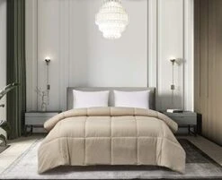 Microfiber Color Down Down 130104 Sage King -Amazon Shop 41dW6rUzCcL. AC