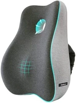 Max&Love Lumbar Support Pillow Cover Ergonomic Design Orthopedic Backrest For Back Pain Relief Memory Foam Back Support For Office Chair Computer Chair Car Seat Recliner And Couch (Dark Gray) -Amazon Shop 41eUC1 eIVL. AC