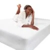 Queen Size Mattress Protector,100% Waterproof Mattress Cover, Soft Cotton Terry Surface, Fitted18 Deep Pocket, Breathable& Noiseless