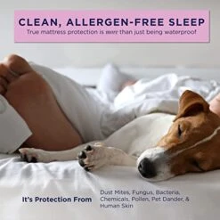 Zippered Mattress Protector (Queen) - Waterproof Cover Stops Dust Mite, Bed Bug, Spills, Bedwetting - Hypoallergenic Encasement With Zipper - White -Amazon Shop 41rouEdh1XL