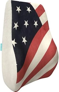 Bonmedico Back Support Pillow - Car Seat, Desk And Office Chair Cushion For Posture And Lumbar Support - Ergonomic, Memory Foam Lower Back Pillows - Black - Standard -Amazon Shop 41vfZRwKsCL. AC