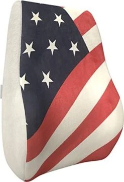 Bonmedico Back Support Pillow - Car Seat, Desk And Office Chair Cushion For Posture And Lumbar Support - Ergonomic, Memory Foam Lower Back Pillows - Black - Standard -Amazon Shop 41yxHAjC6IL. AC