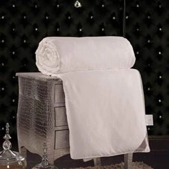 Silk Comforter For Spring And Fall With 300TC Cotton Shell, Silk Filled Comforter, Silk Quilt, Silk Duvet -Ultra Soft, Light Weighted- 100% Top Grade Silk, King Size -Amazon Shop 51EhMadTWcL. AC