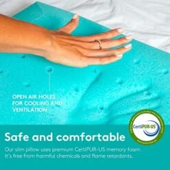 Stomach Sleeping Pillow | Thin 2.6-Inch Memory Foam Pillow For Stomach And Back Sleepers | Gel-Infused Foam For Neck And Back Support | Washable Bamboo Cloth Cover For Soft, Cooling Sleep -Amazon Shop 51ZXP6FxbxL