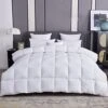 Down Comforter Queen Size - Goose Down And Feather Bed Comforter All Seasons Duvet Insert Queen Hotel Fluffy Down Blanket Medium Warm 100% Cotton Cover (90x90, White)